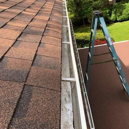 gutter repair Carle Place ny